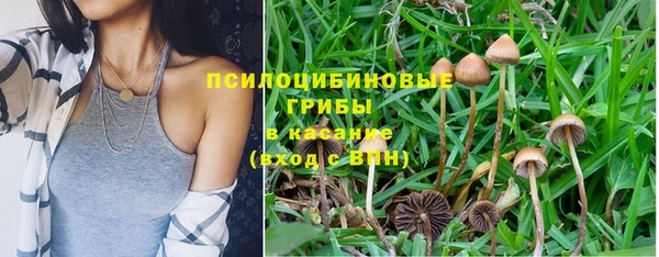 хмурый Волосово